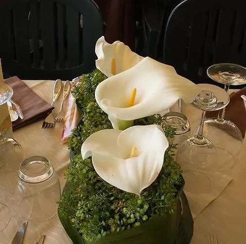 Ristorante La Terrazza Бельджирате